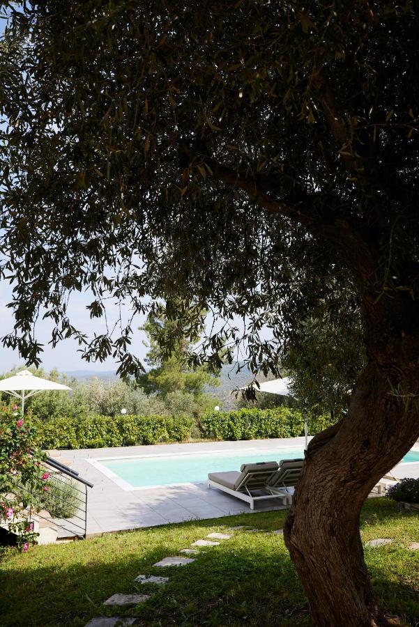 Sithonian Villa Neos Marmaras Buitenkant foto