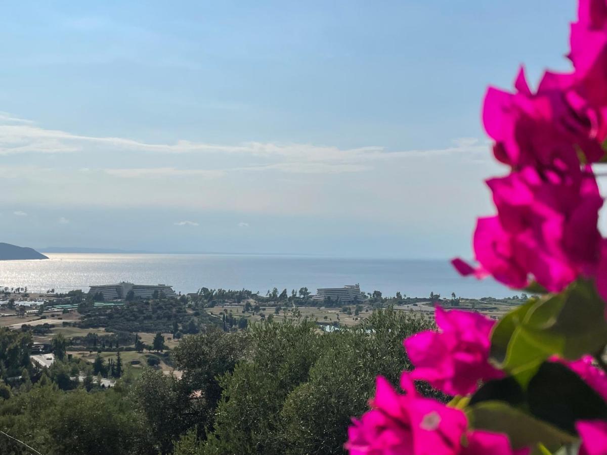 Sithonian Villa Neos Marmaras Buitenkant foto