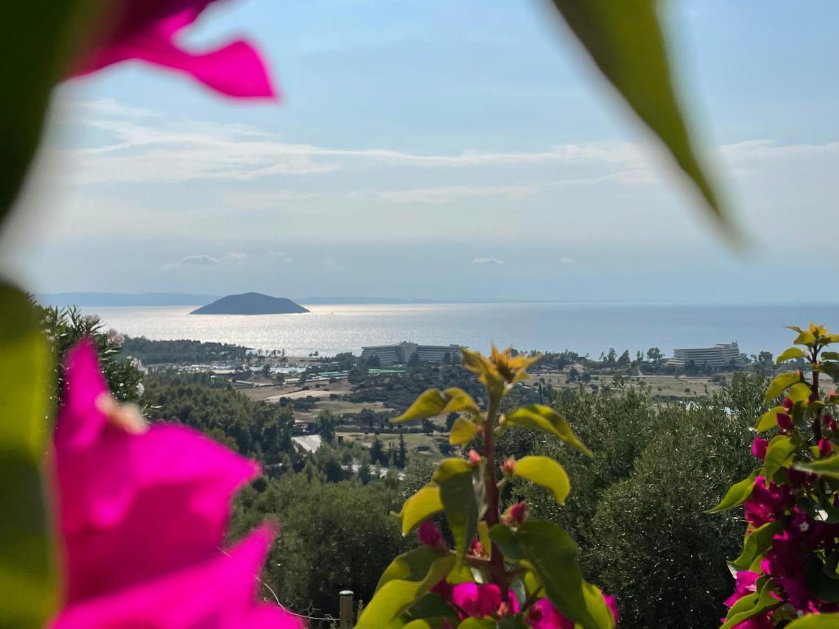 Sithonian Villa Neos Marmaras Buitenkant foto